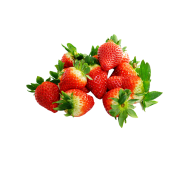 Red Strawberry